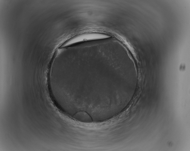 X0000097990010200804021019