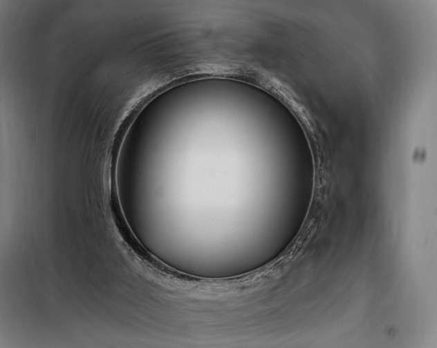 X0000097990011200804021019