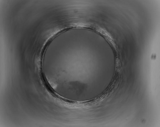 X0000097990012200804021019
