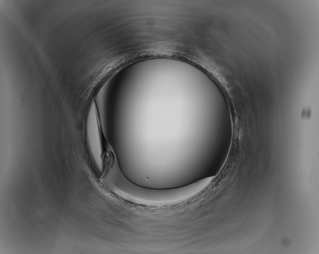 X0000097990013200804021019