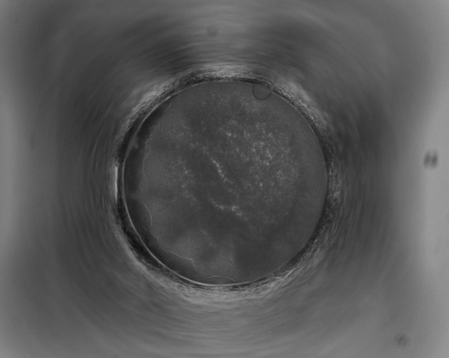 X0000097990014200804021019