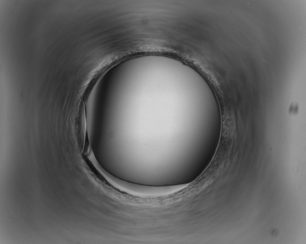 X0000097990015200804021019