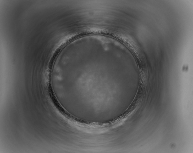 X0000097990016200804021019