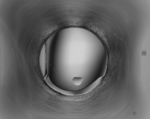 X0000097990017200804021019