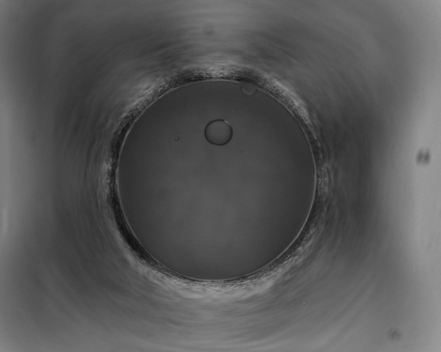 X0000097990018200804021019