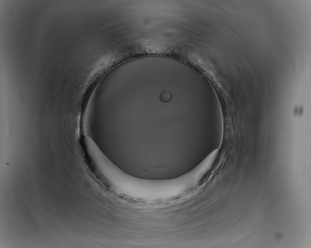X0000097990019200804021019