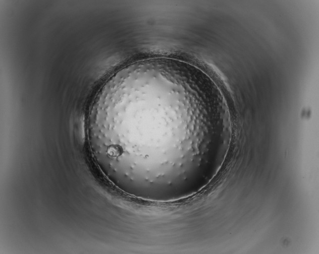 X0000097990020200804021019