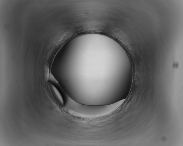 X0000097990021200804021019