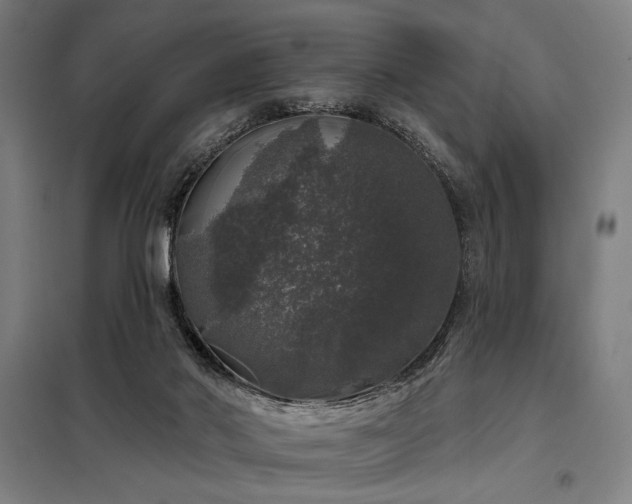 X0000097990022200804021019