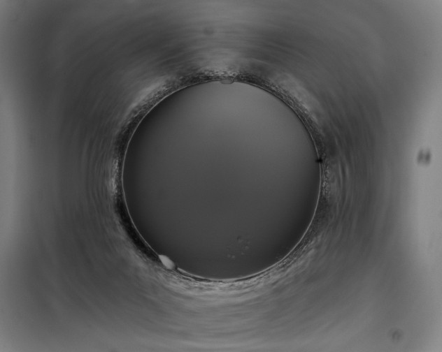 X0000097990023200804021019