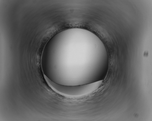 X0000097990025200804021019