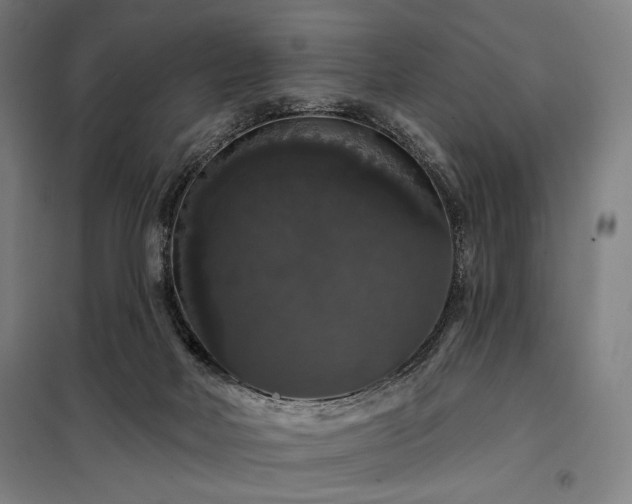 X0000097990026200804021019