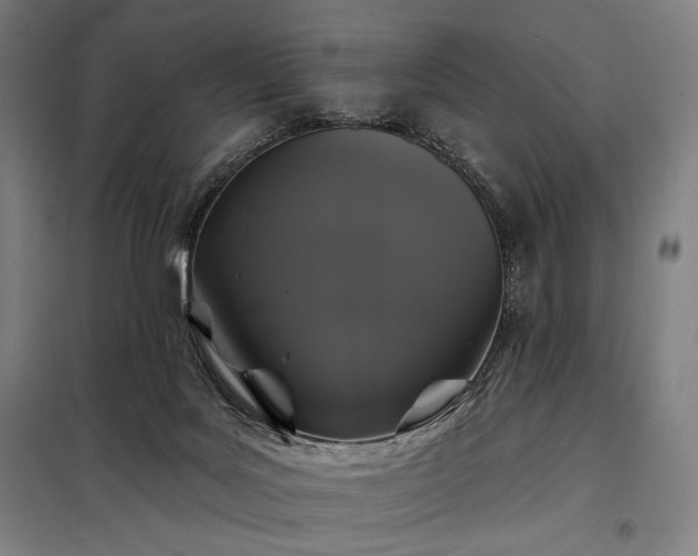 X0000097990027200804021019