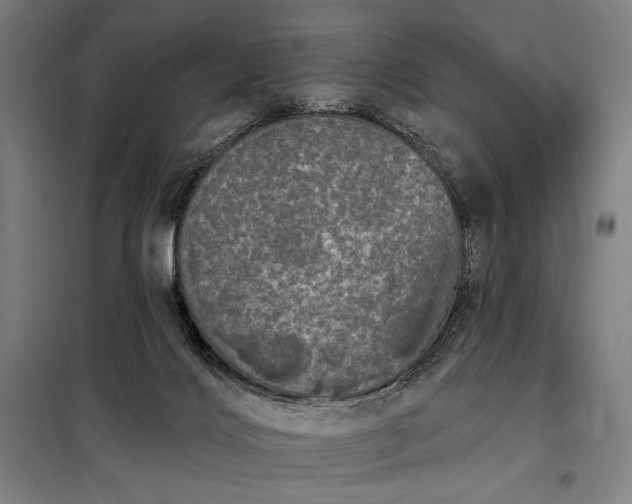 X0000097990028200804021019