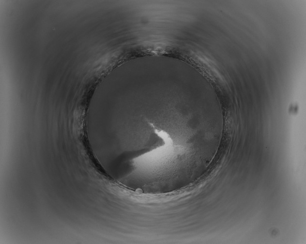 X0000097990030200804021019