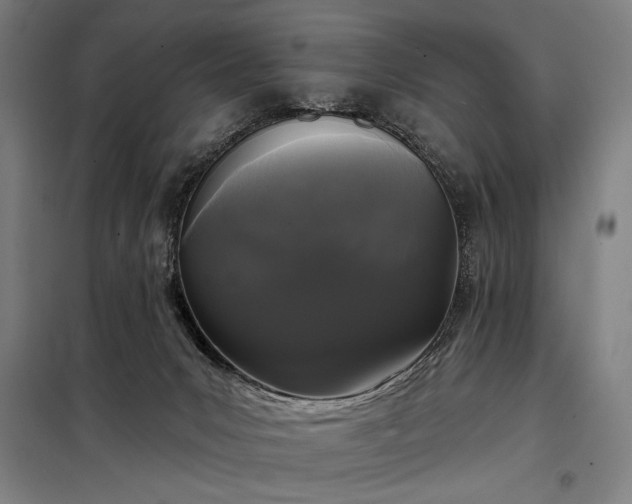 X0000097990031200804021019