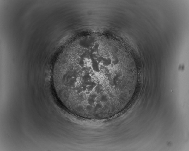 X0000097990032200804021018