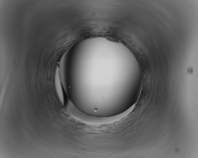 X0000097990033200804021018