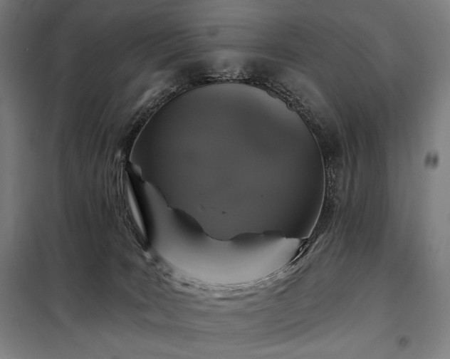 X0000097990035200804021018
