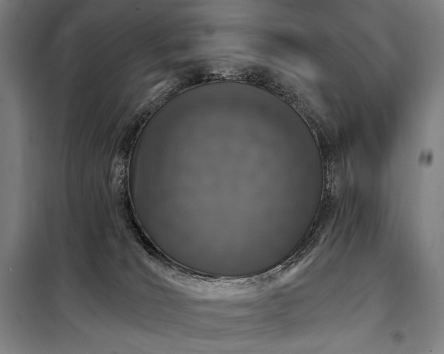 X0000097990036200804021018
