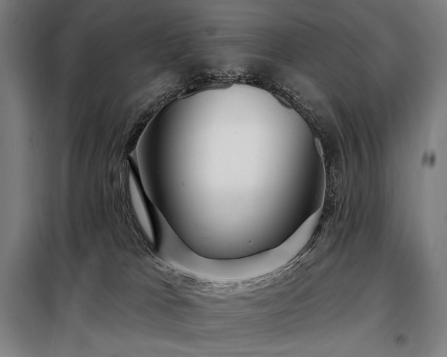 X0000097990037200804021018