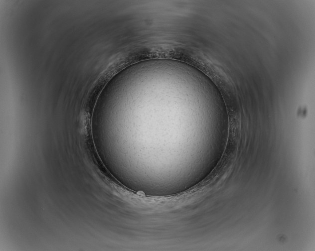 X0000097990038200804021018