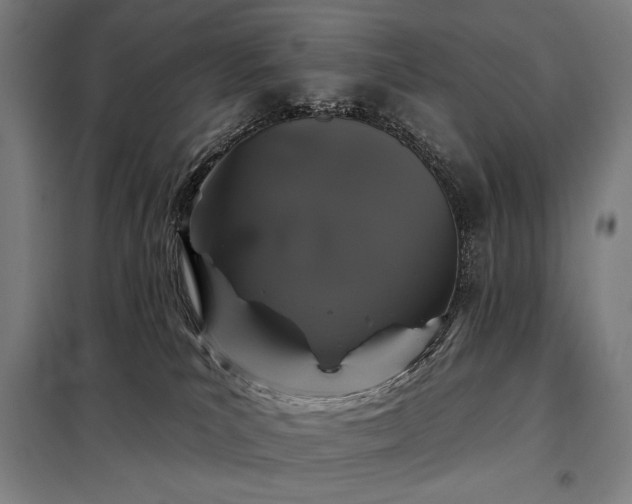 X0000097990039200804021018
