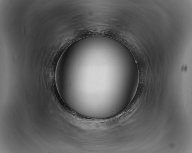 X0000097990040200804021018