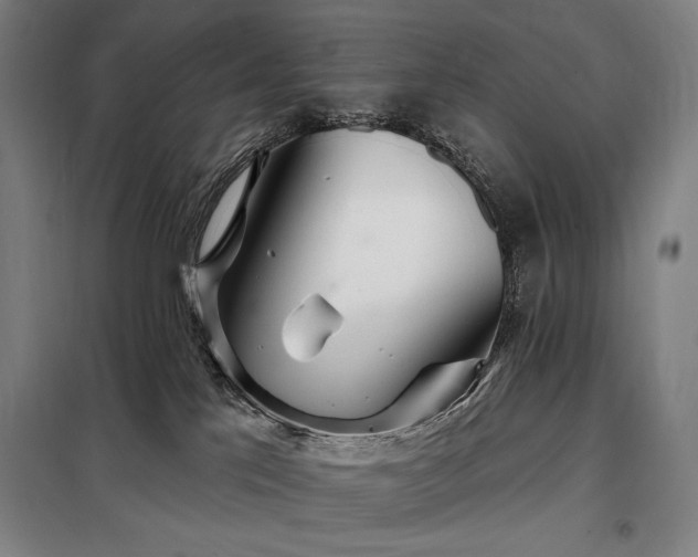 X0000097990041200804021018