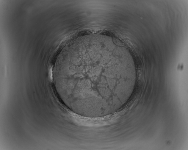 X0000097990042200804021018
