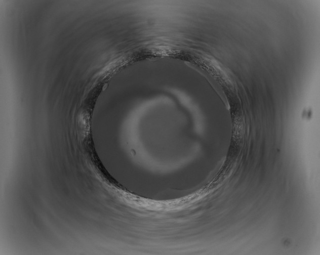 X0000097990043200804021018