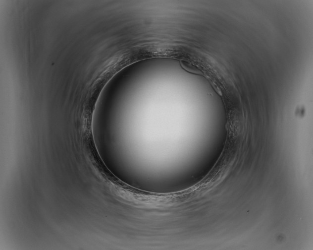 X0000097990044200804021018