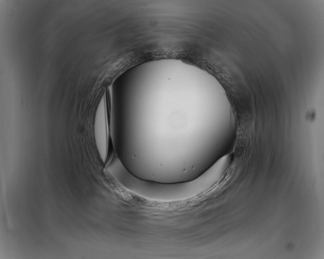 X0000097990045200804021018