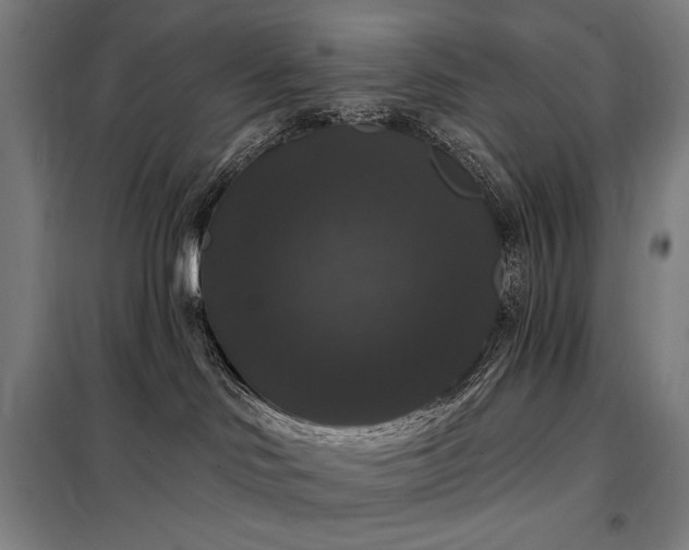 X0000097990046200804021018