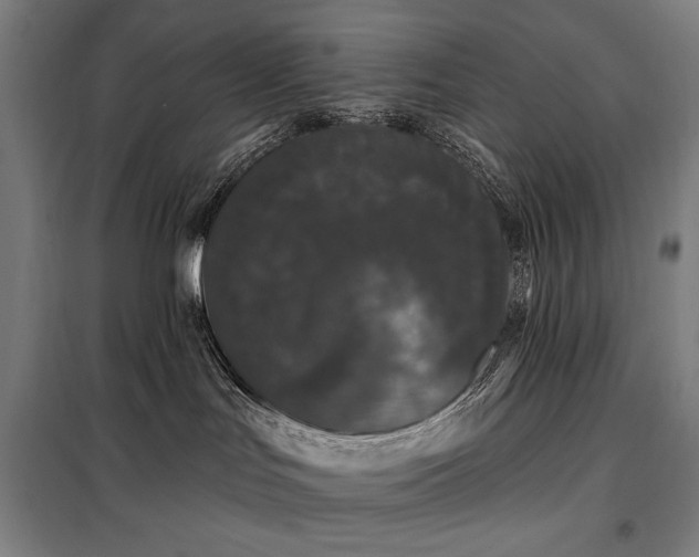 X0000097990047200804021018