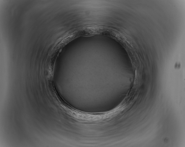 X0000097990048200804021018
