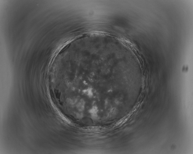X0000097990049200804021017