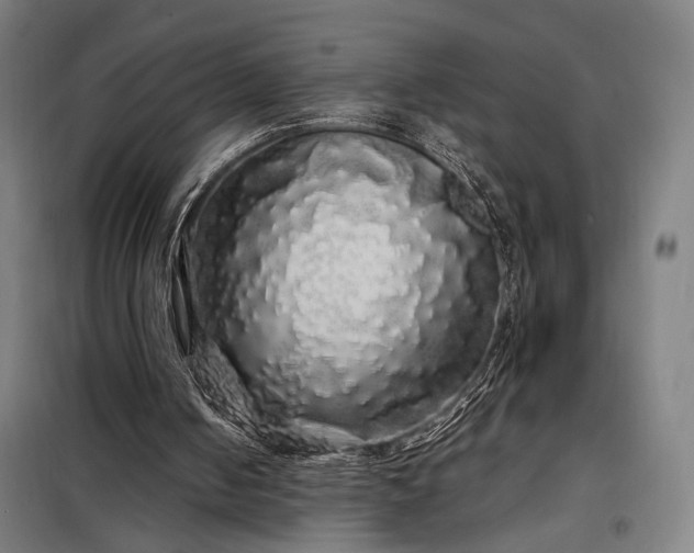 X0000097990050200804021017
