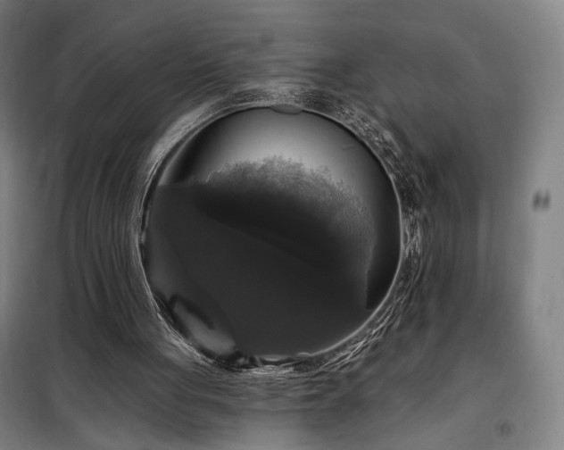 X0000097990051200804021017