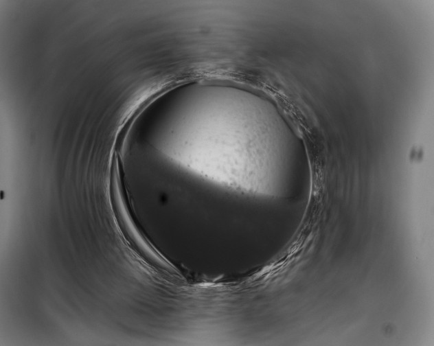 X0000097990052200804021017