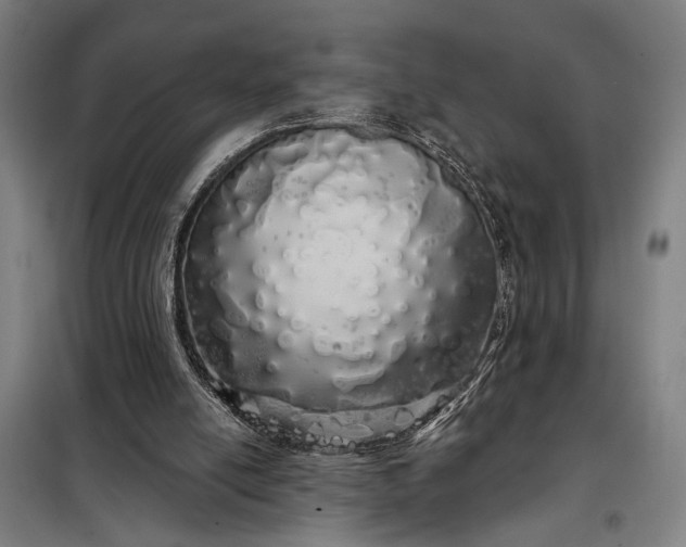 X0000097990054200804021018