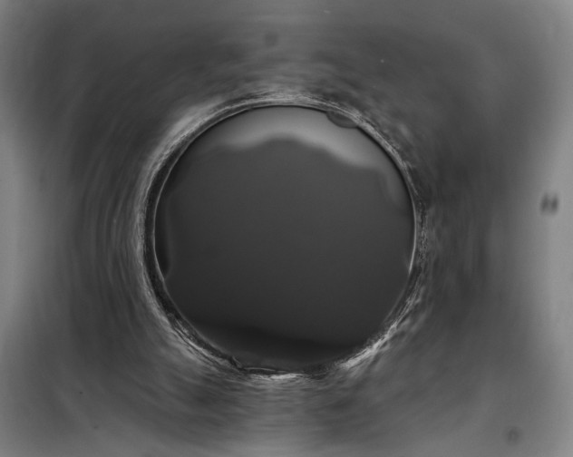 X0000097990055200804021018
