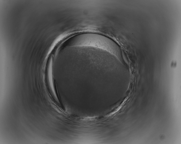X0000097990056200804021018