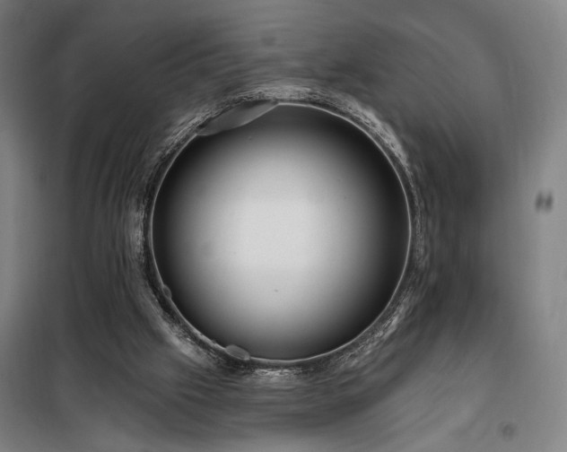 X0000097990057200804021018