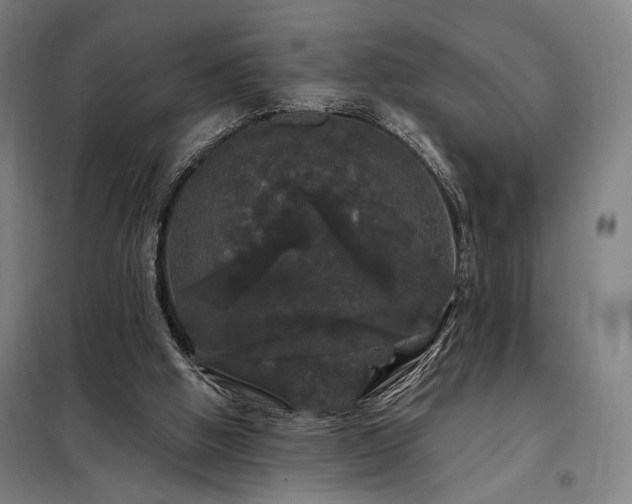 X0000097990058200804021018
