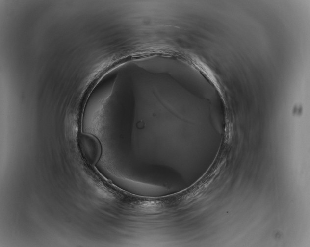X0000097990059200804021018