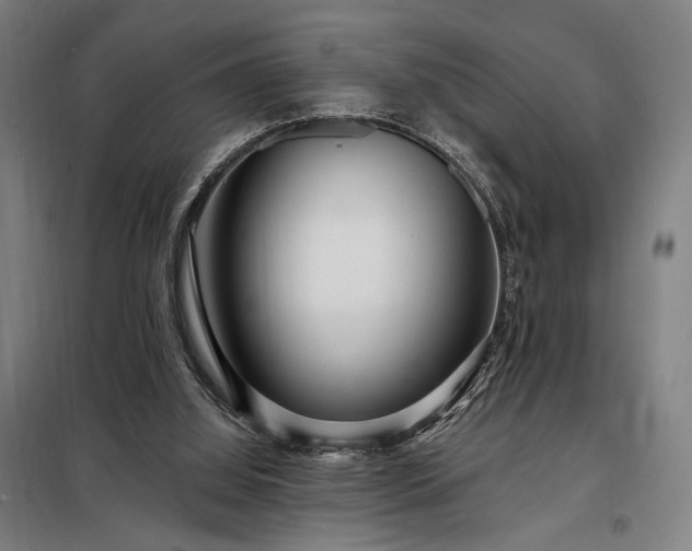 X0000097990060200804021018