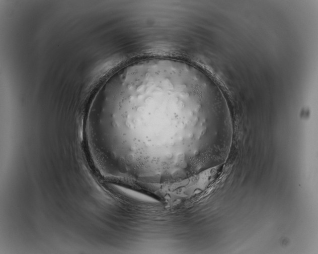 X0000097990062200804021018