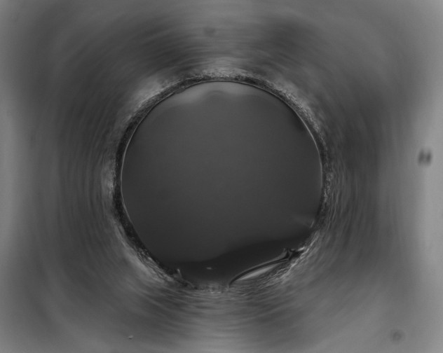 X0000097990063200804021018