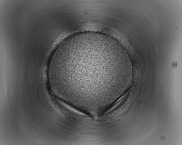 X0000097990064200804021018